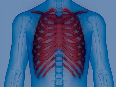 rib pain icd-10|icd 10 costochondritis rib pain.